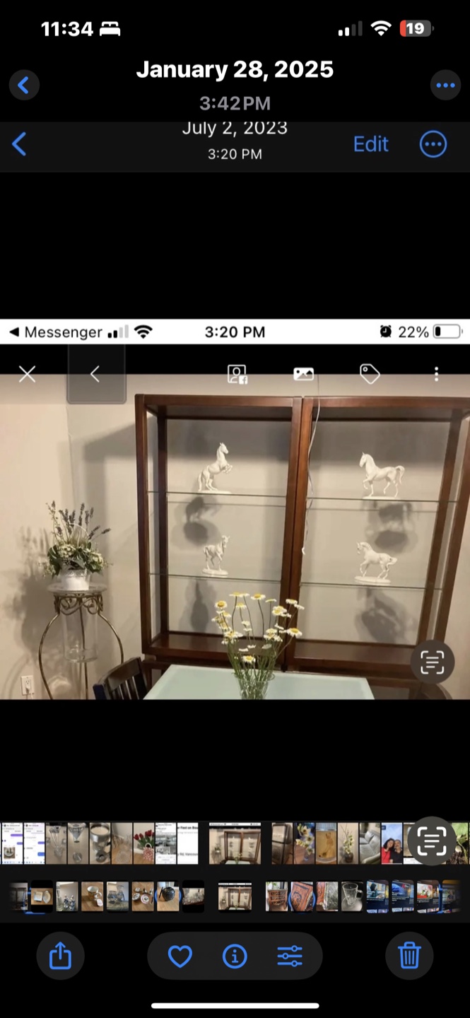 Wooden Curio Cabinet with Glass Shelves
