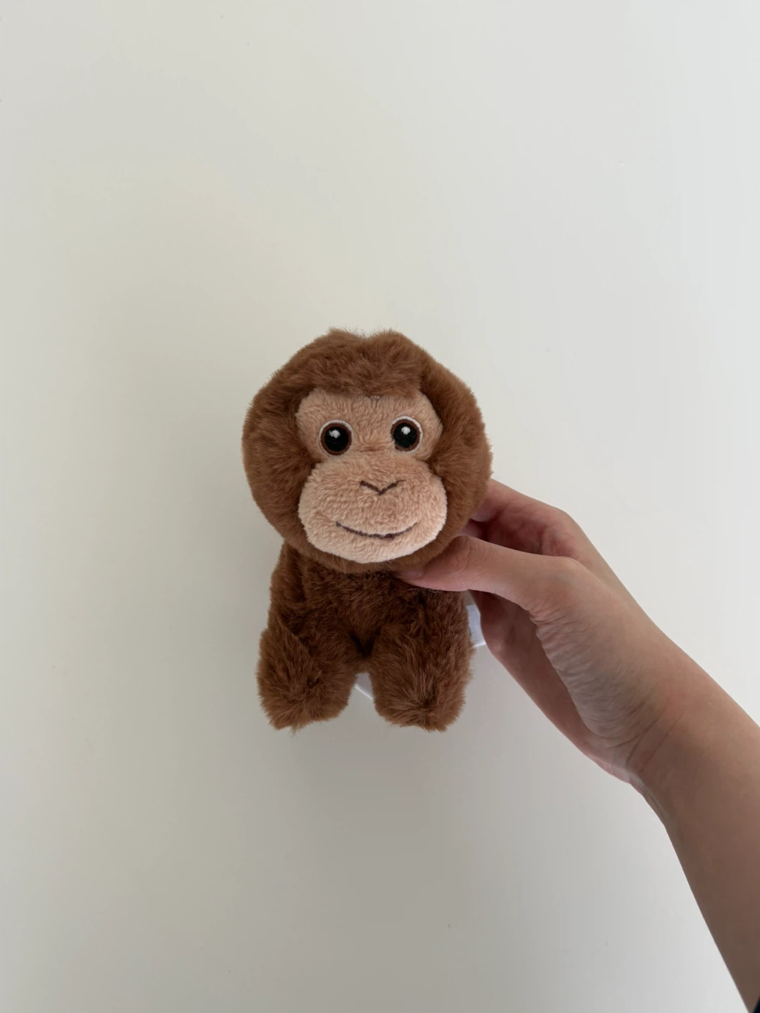 Brown plush monkey toy