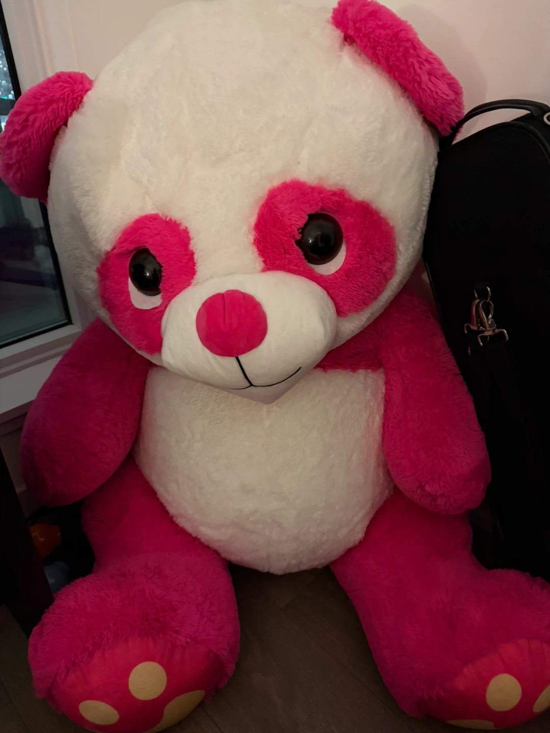 Valentine’s cute bear