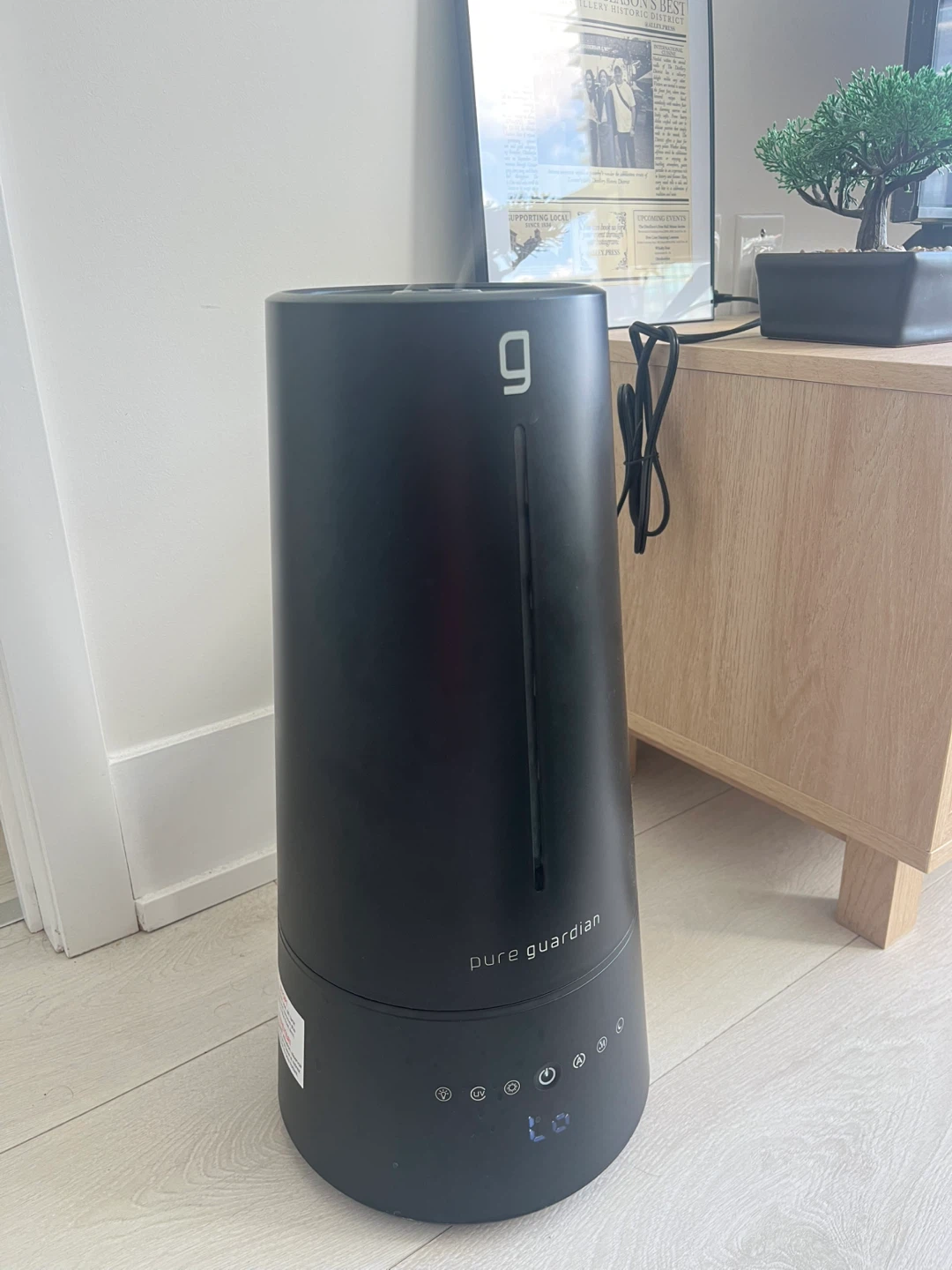Pure Guardian Humidifier