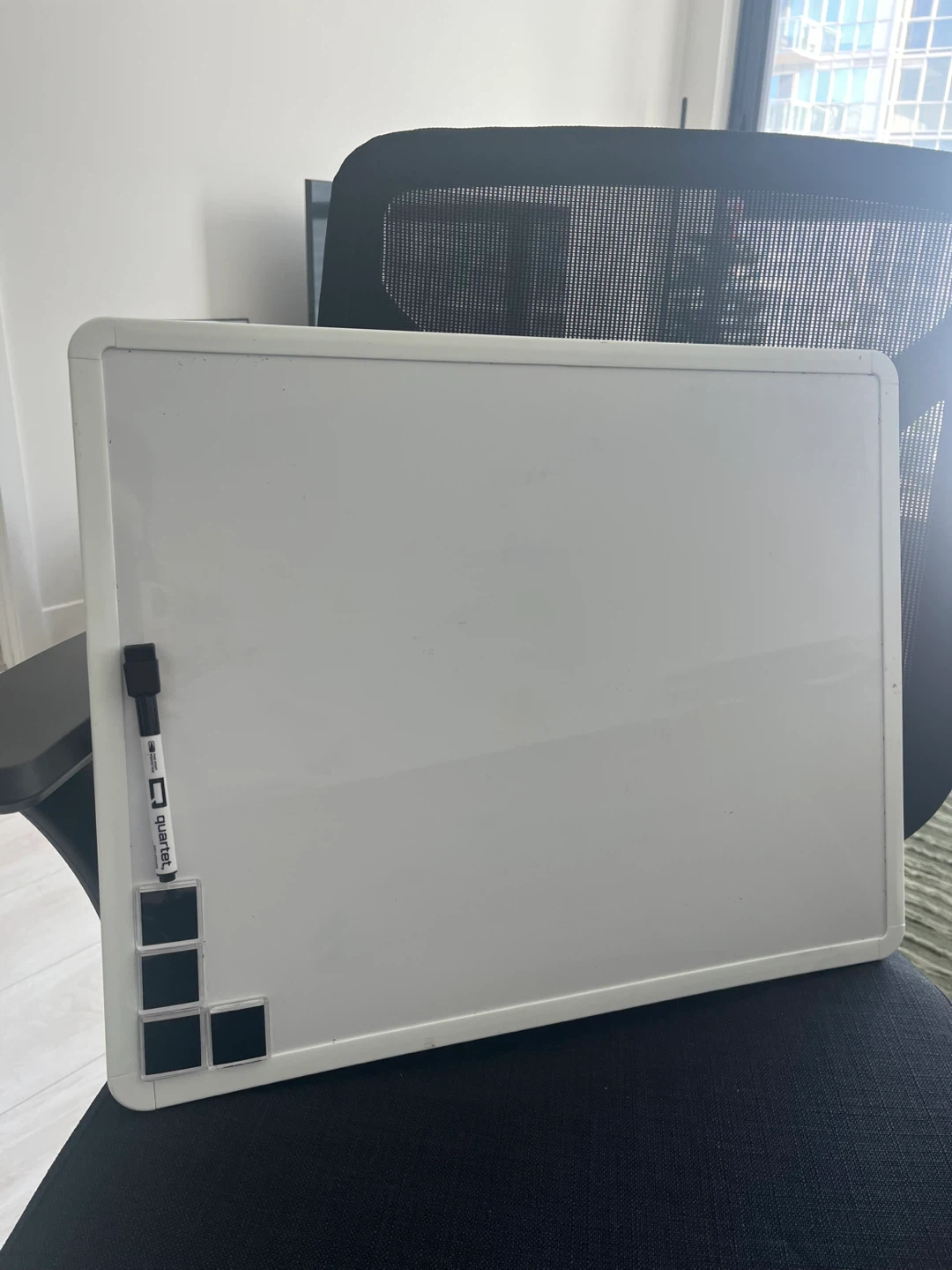Whiteboards with Magnets (x2)