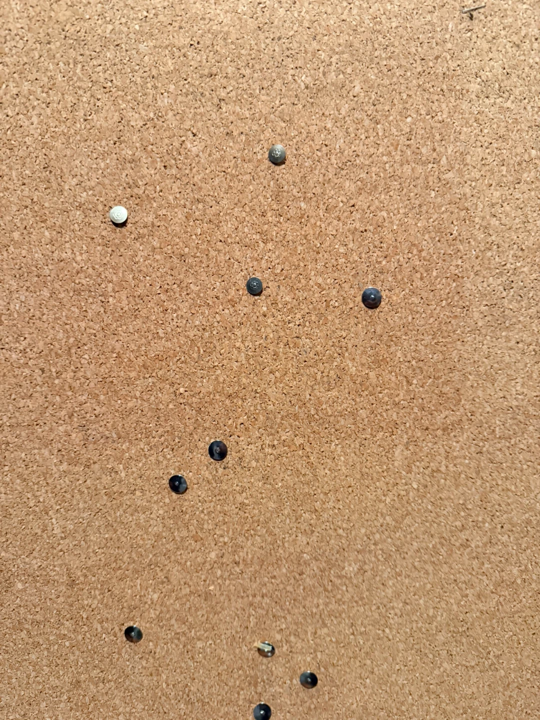 Cork Bulletin Board - photo 3