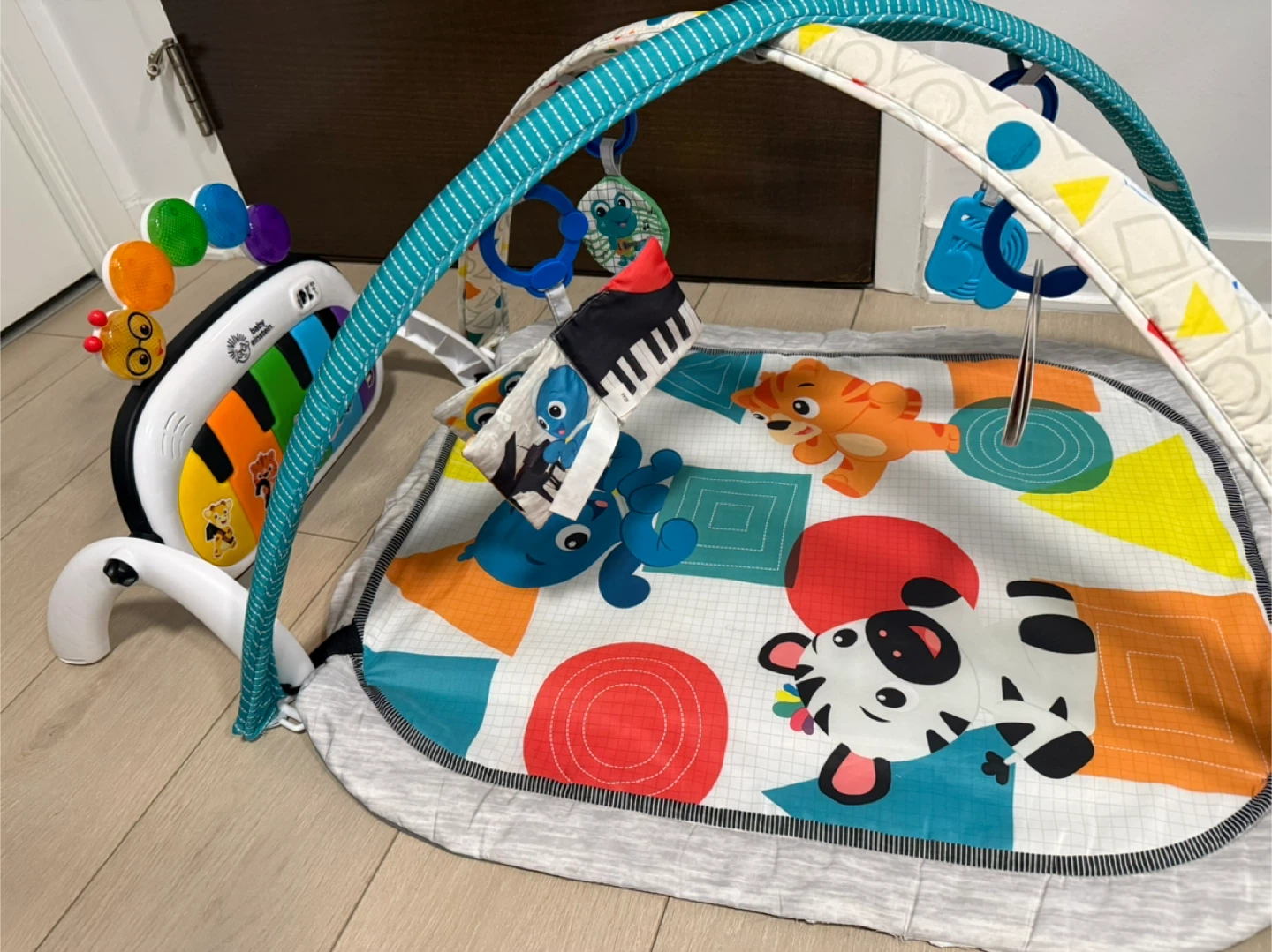 Used like New- Baby Einstein Play Gym with Musical Piano