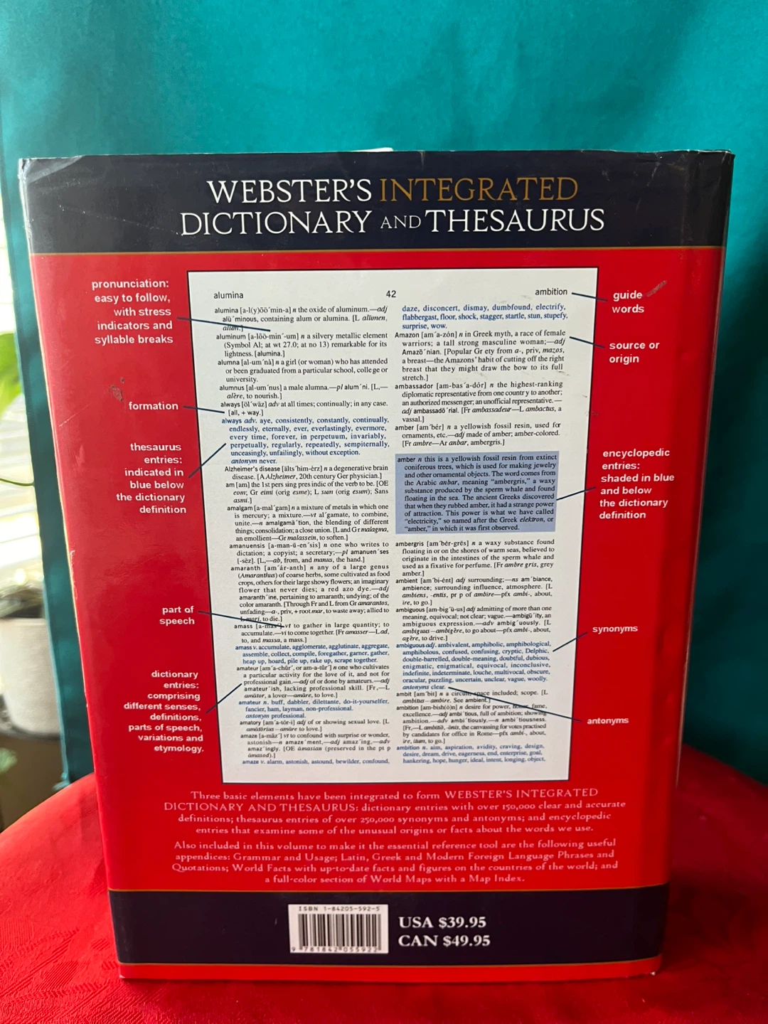 Webster's Dictionary and Thesaurus, Hardcover, 2006 - photo 3