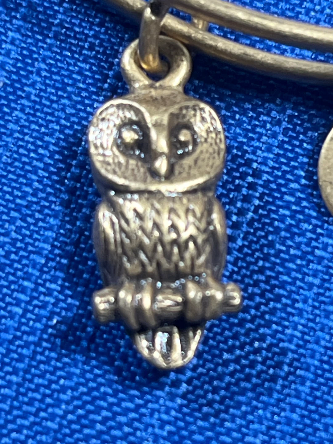 Alex and Ani Owl Charm Bangle Bracelet - photo 5