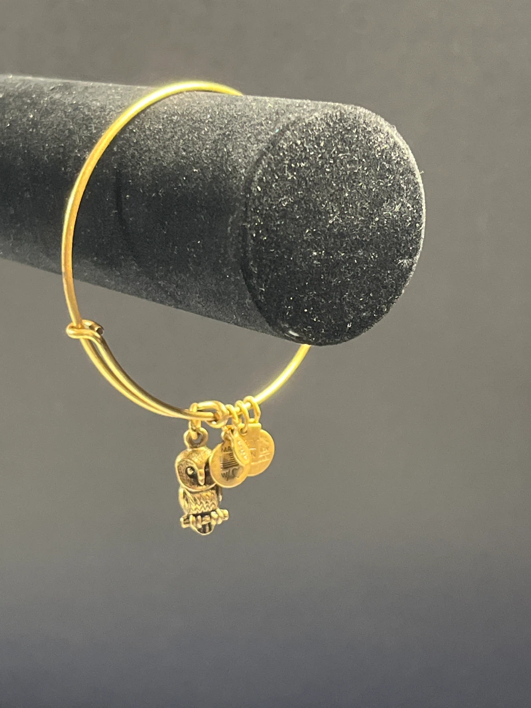 Alex and Ani Owl Charm Bangle Bracelet - photo 4