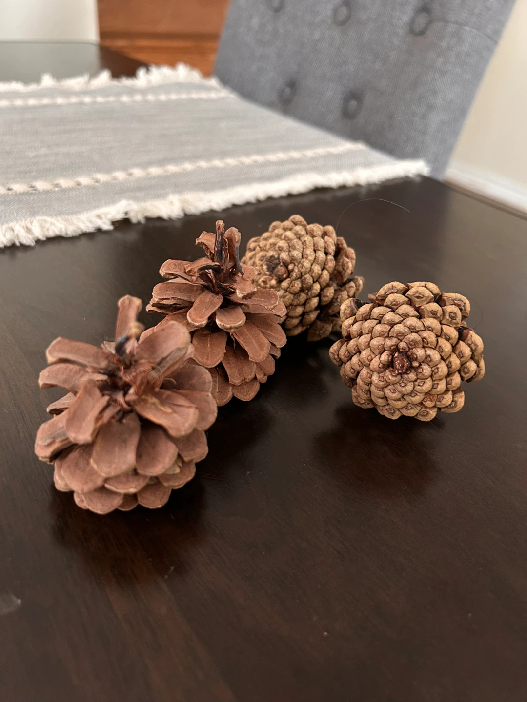 Bag of Assorted Pine Cones
