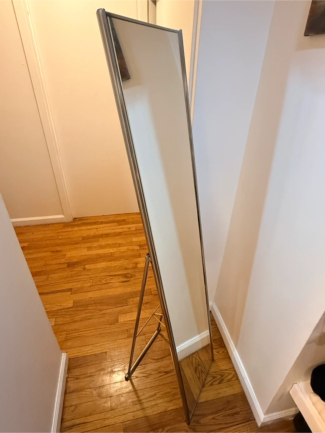 Full Length Standing Mirror with Metal Frame