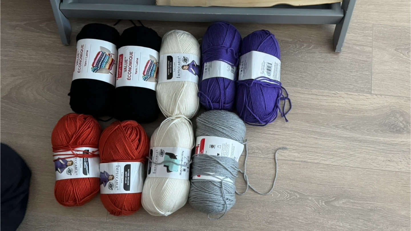 Assorted Yarn Skeins - Bernat, Impeccable, and Patons - photo 2