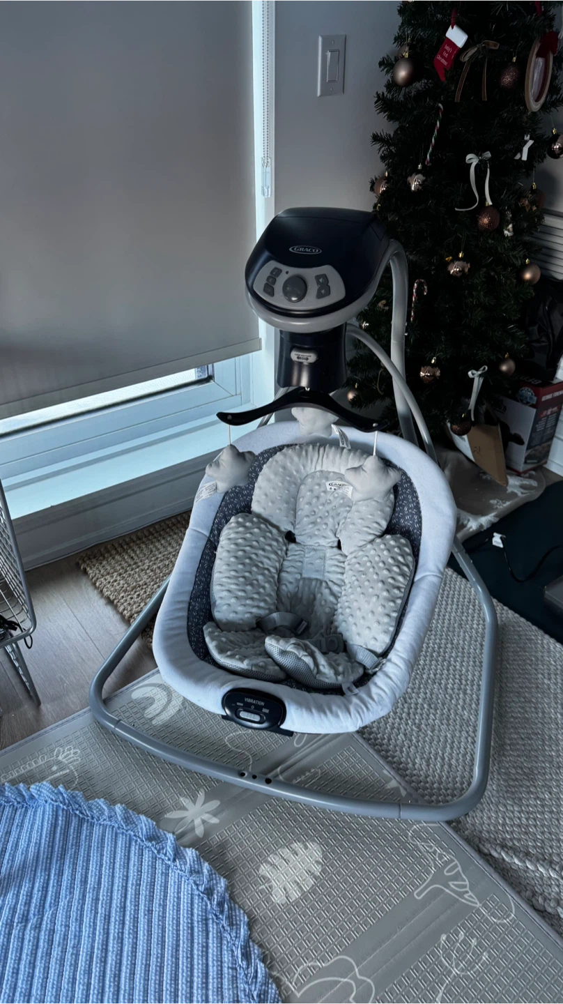 Graco Baby Swing