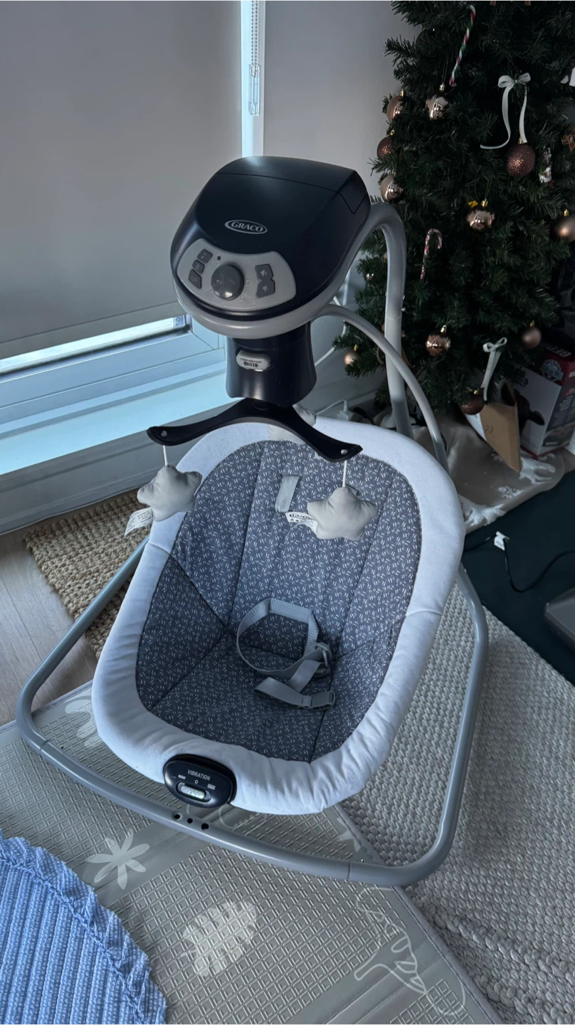 Graco Baby Swing - photo 3