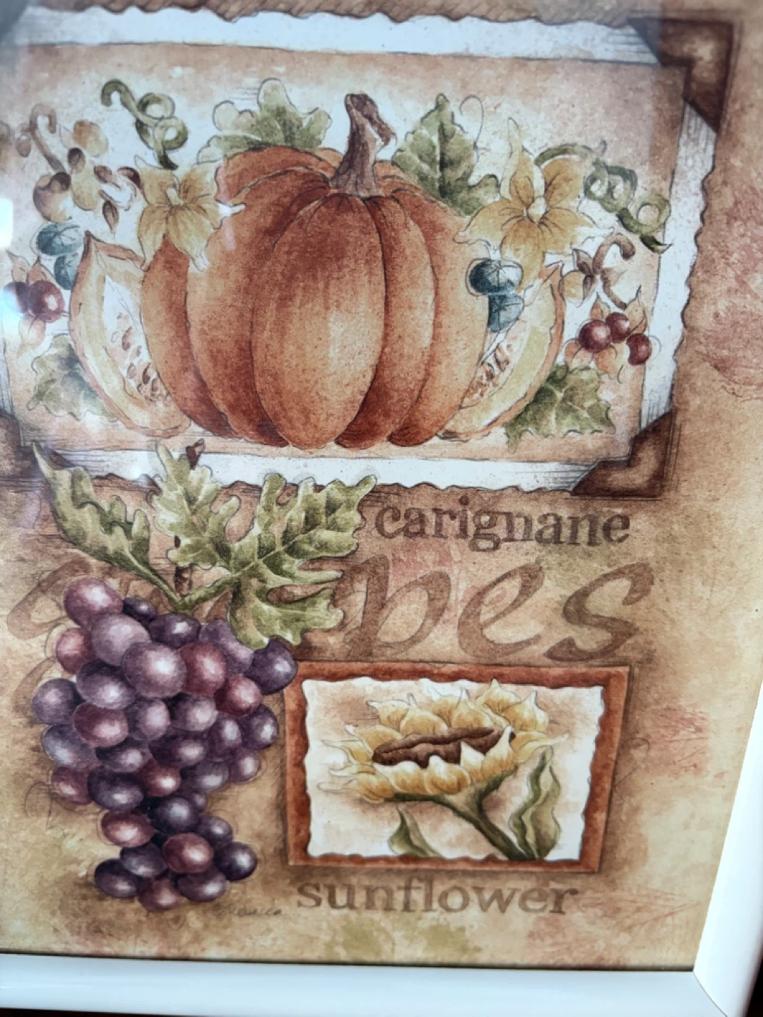 White Framed Harvest Themed Still Life Picture - photo 2