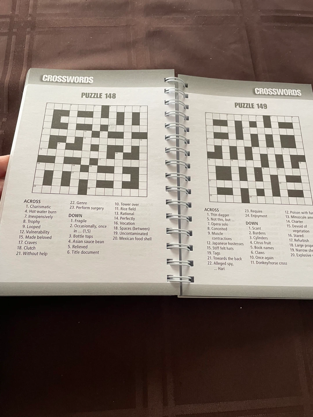 Hinkler Brain Teasers Cross-Word Puzzles Book - photo 2