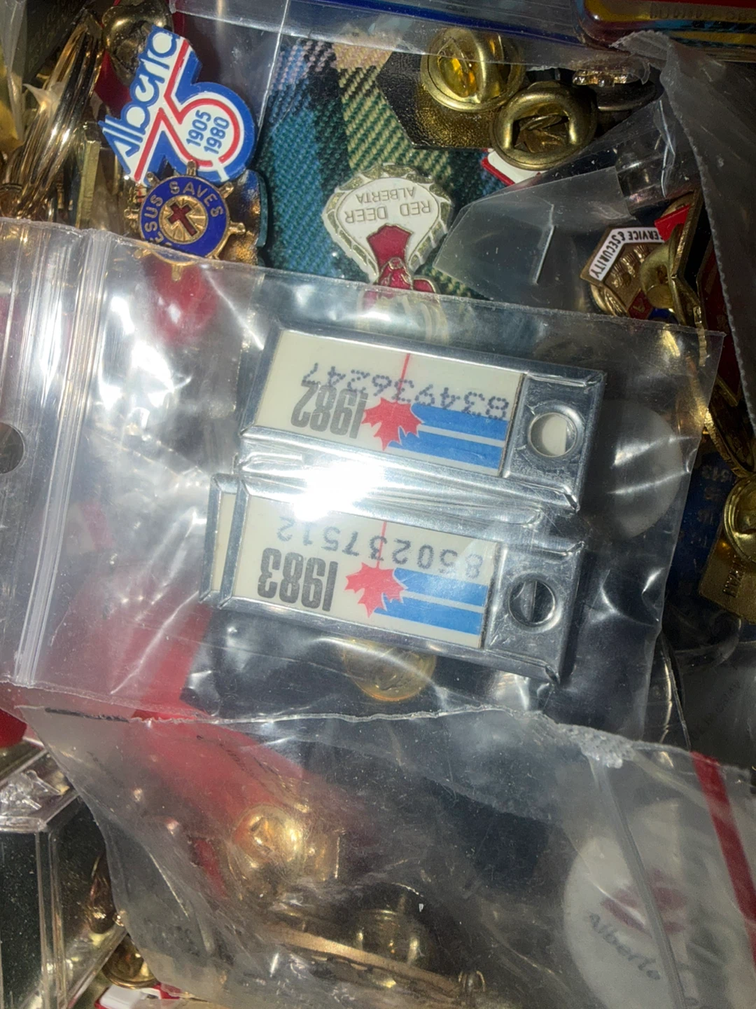 Collection of Canadian Souvenir Pins and Keychains - photo 3