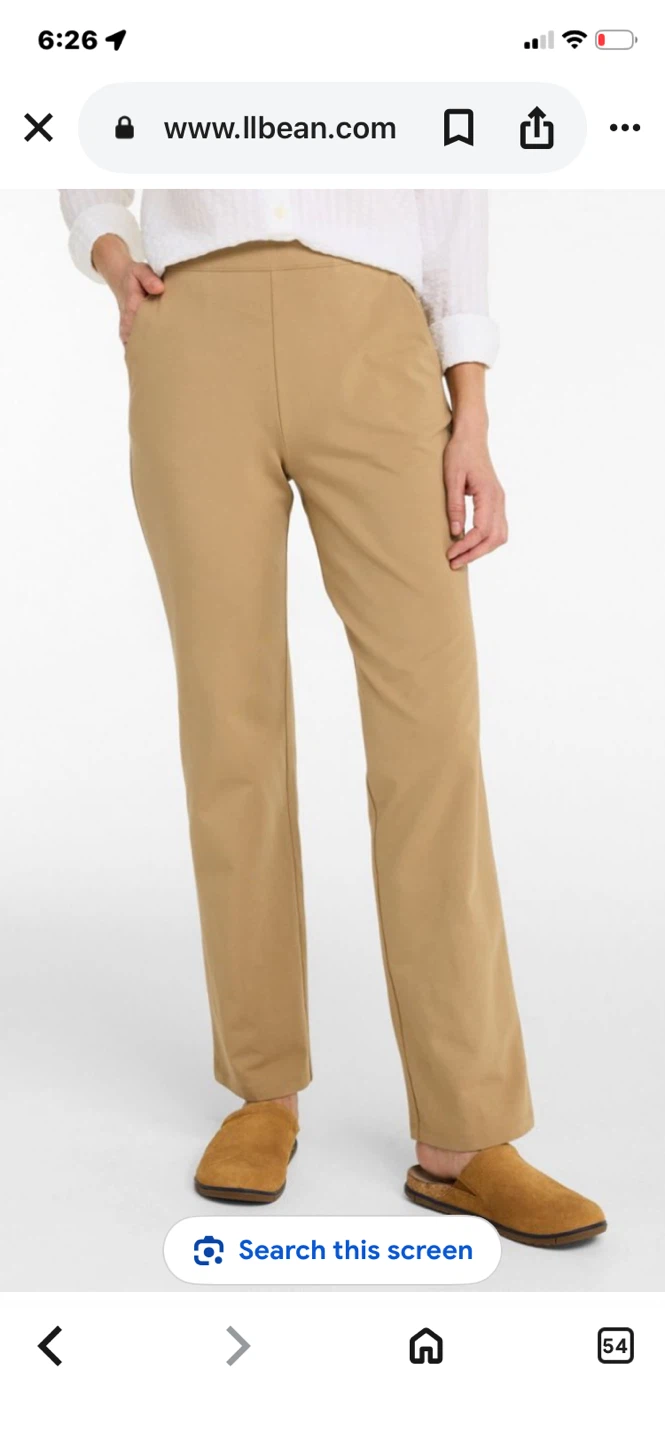 Prfct fit straight lg pant size 2x