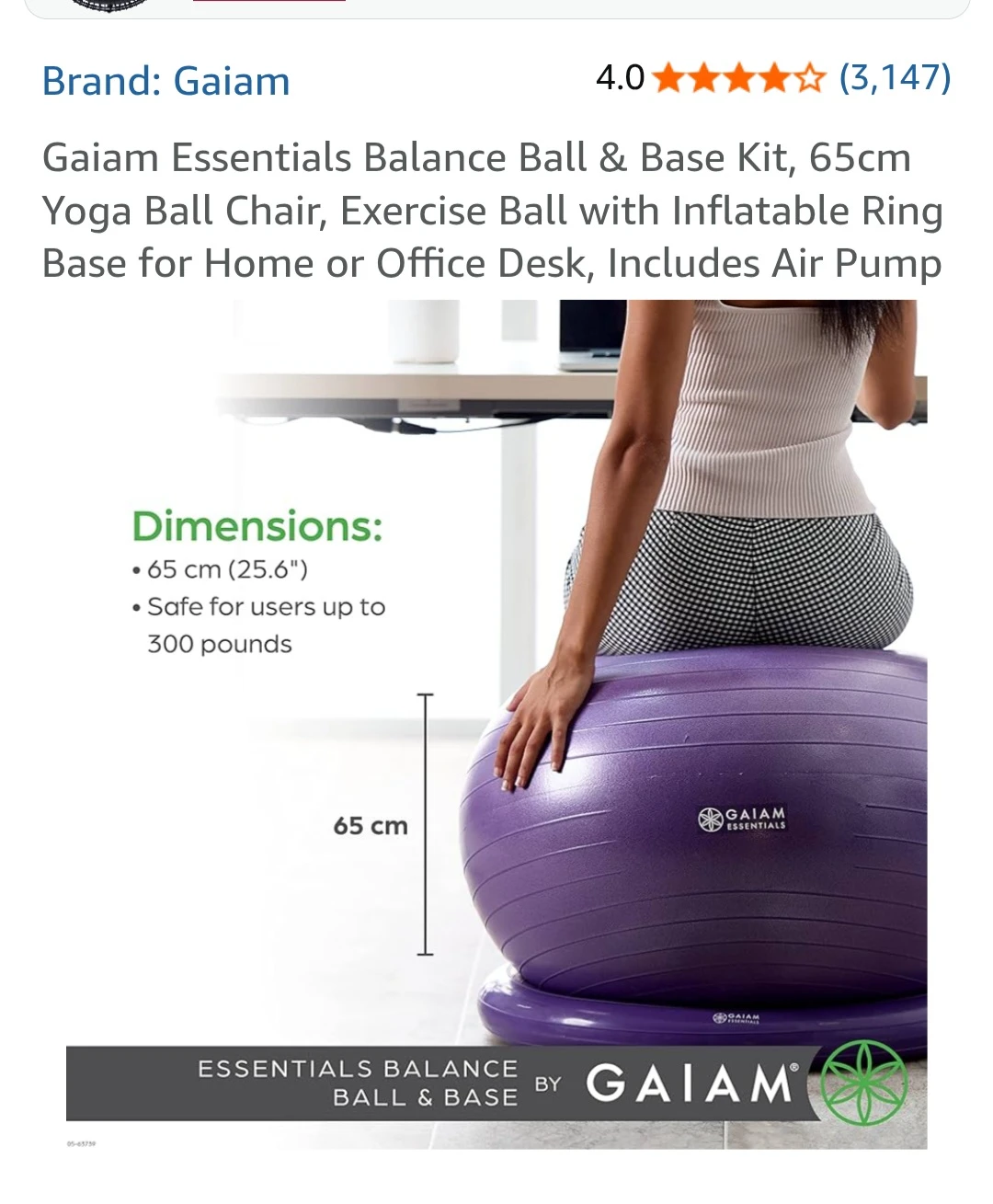 Gaiam Essentials Balance Ball & Base Kit 65cm - photo 3