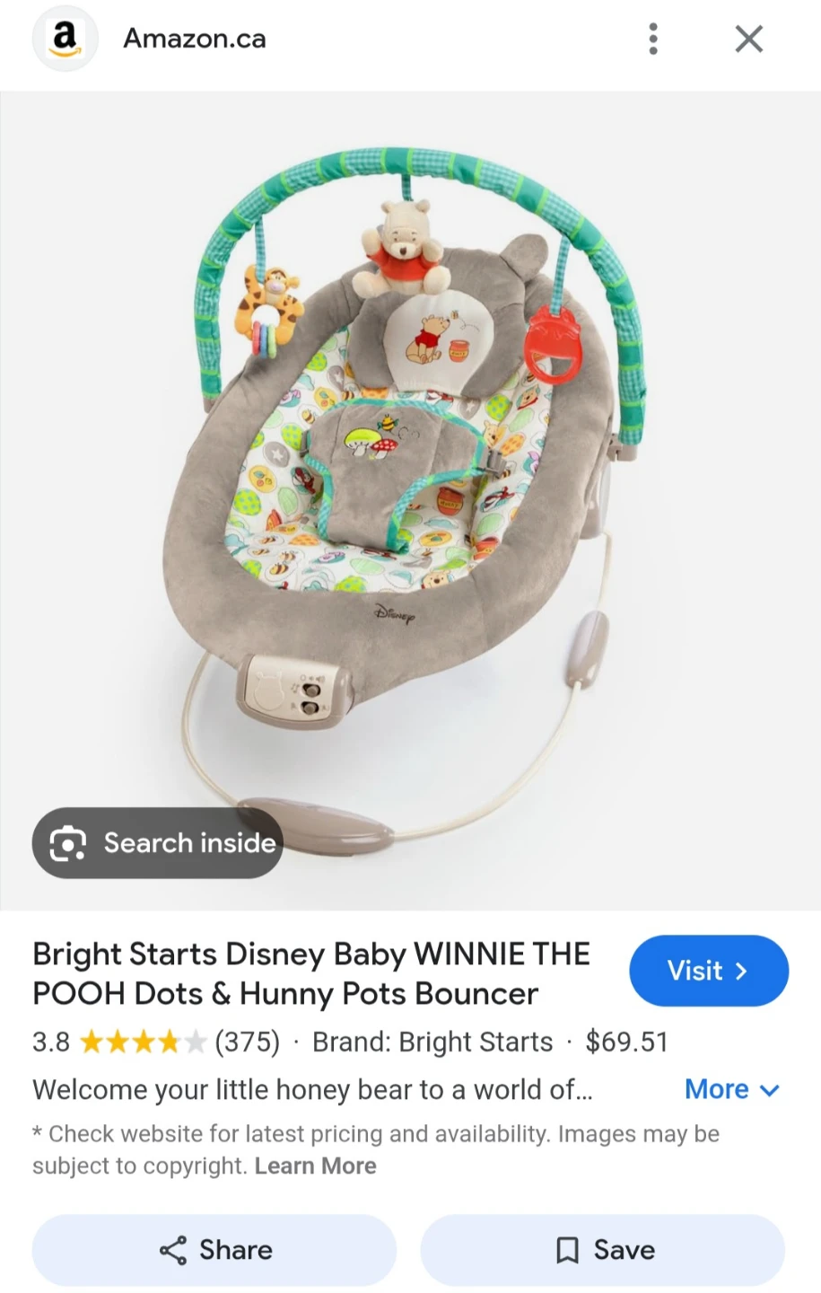 Disney Baby Winnie the Pooh Bouncer - photo 2