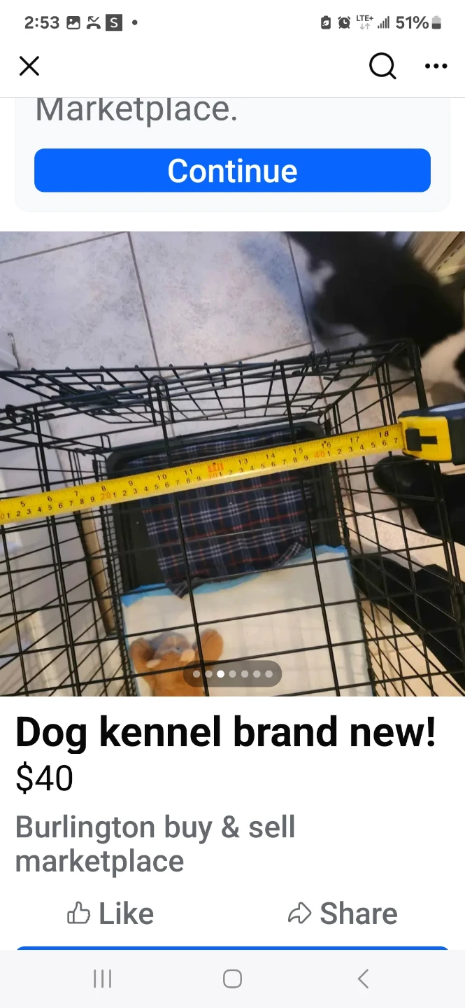 Brand New Dog Kennel - photo 2