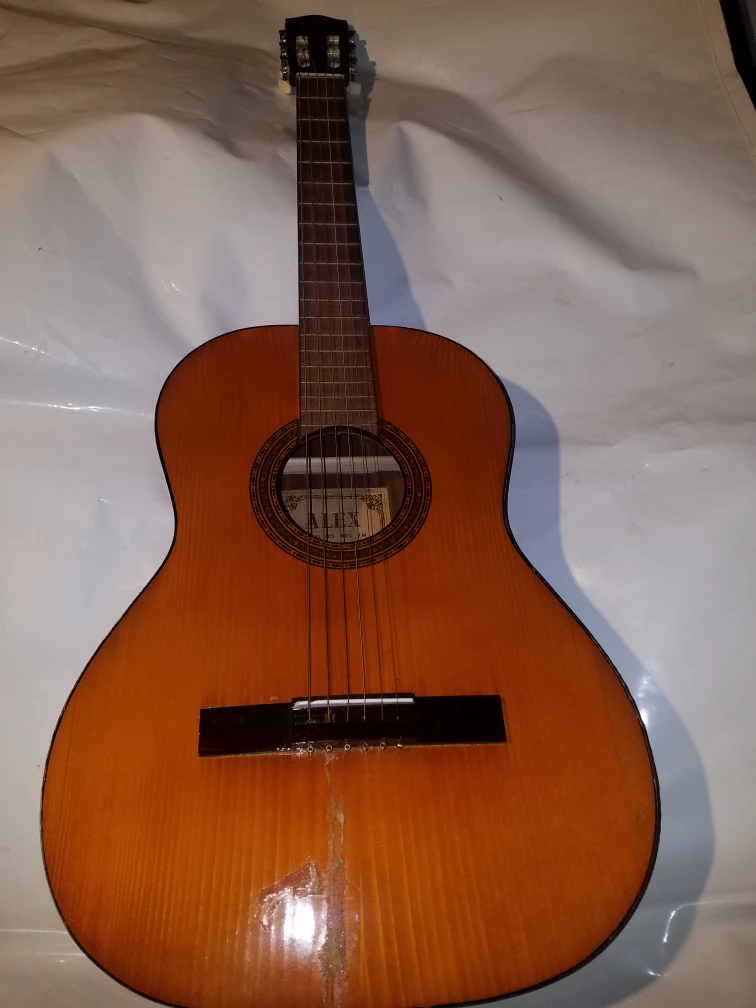 ALEX Acoustic Guitar Model ACL-1M