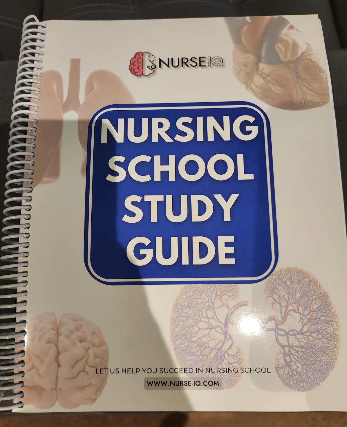 Nurse IQ Nursing School Study Guide