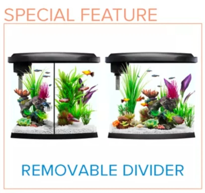 Aquarium+++EXTRAS - photo 2