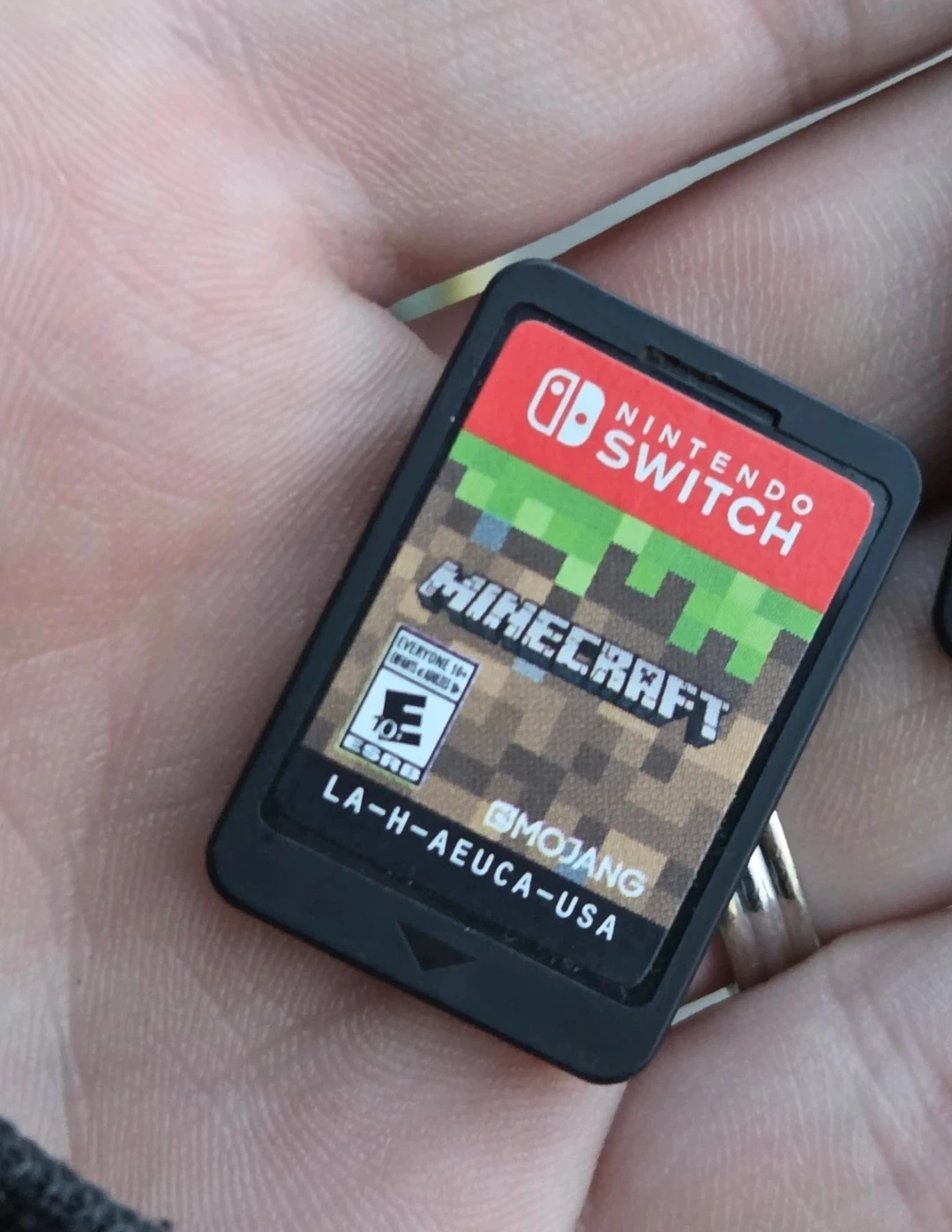 Minecraft for Nintendo Switch
