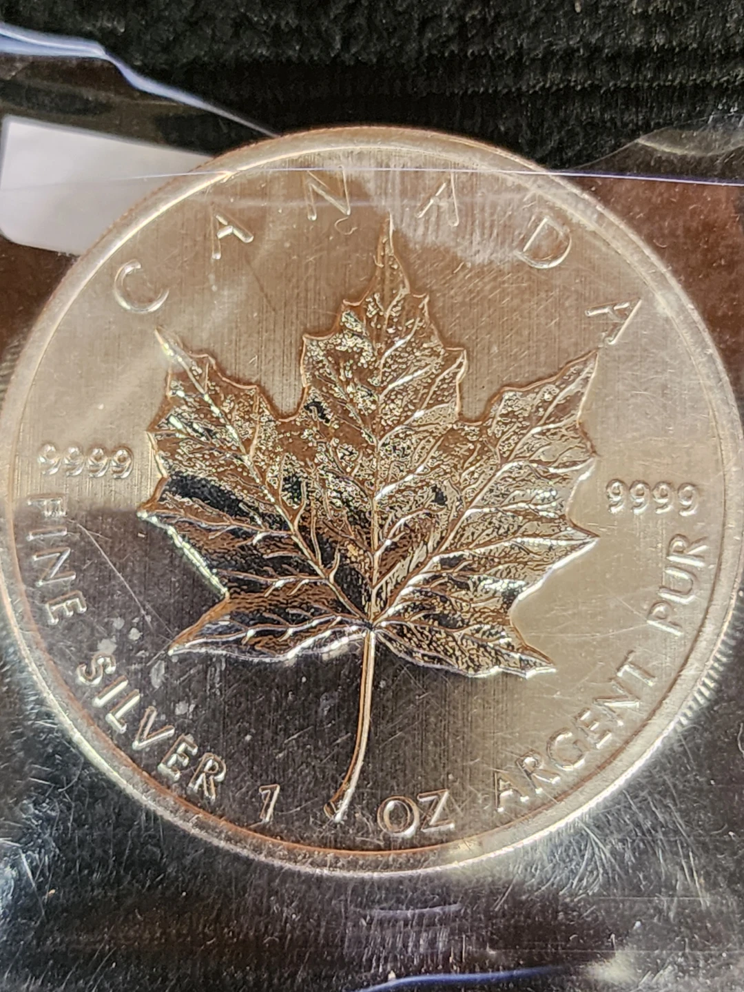 2010 Canadian Silver Maple Leaf Coin
