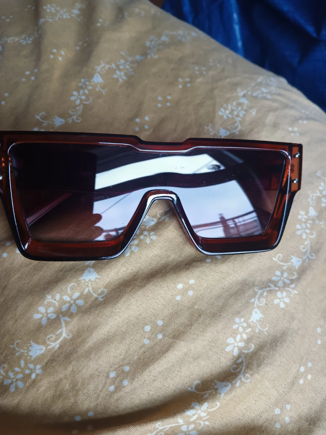 Brown Fashion Sunglasses 🥕