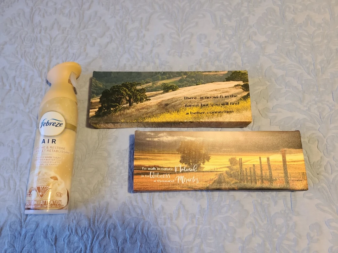 2 Wall Art Canvases - Nature Theme