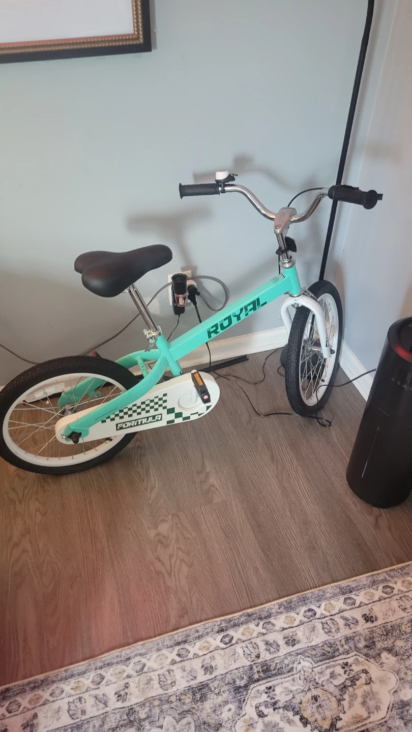 RoyalBaby "Formula" Teal 18-Inch Kids Bike With Kickstand