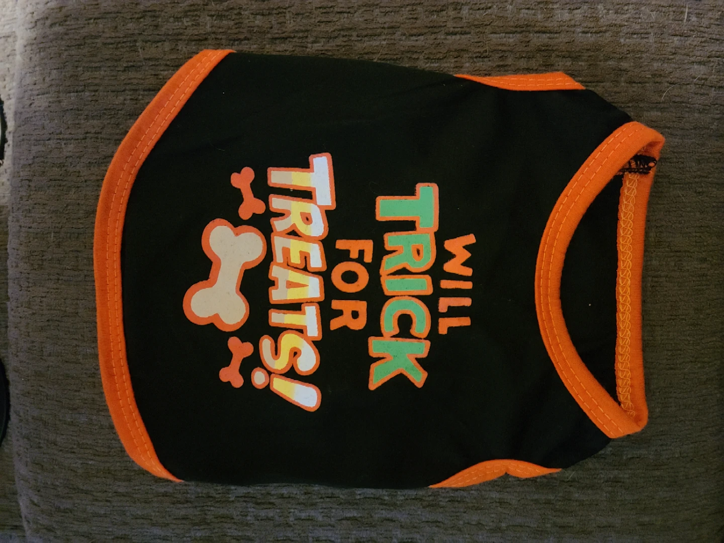 Pet Shirts