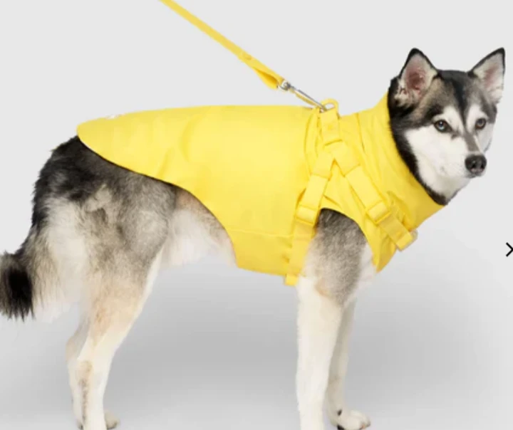Canada Pooch Yellow Dog Harness Raincoat - photo 3