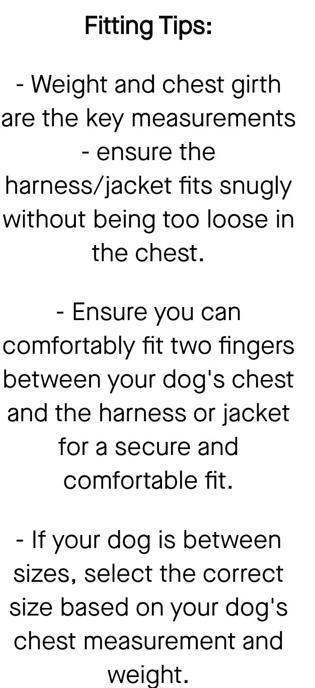Canada Pooch Yellow Dog Harness Raincoat - photo 4