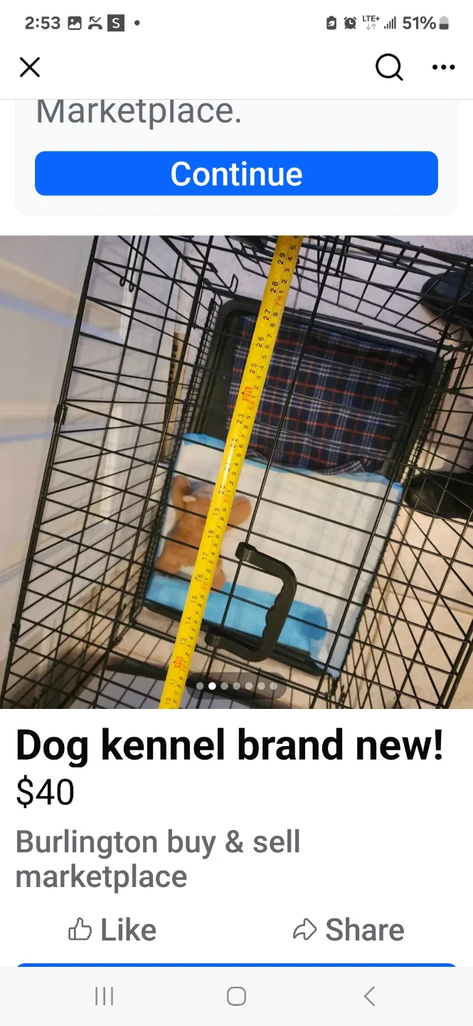 Brand New Dog Kennel - photo 3