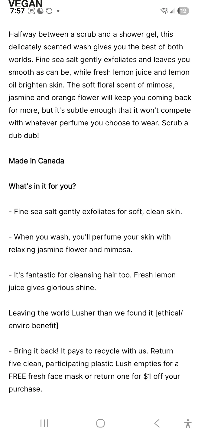 Lush Rub Rub Rub Body Scrub - 330g - photo 2