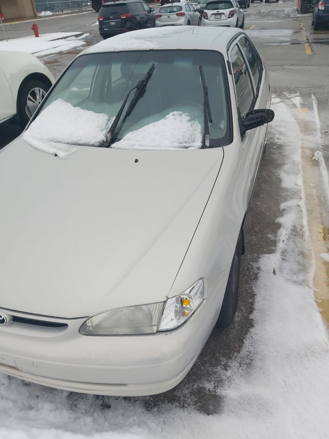 Toyota Corolla - Silver Sedan - photo 2