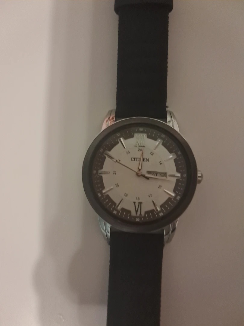 Citizen BF2011-01EC Quartz Day-Date Men's Watch - photo 3