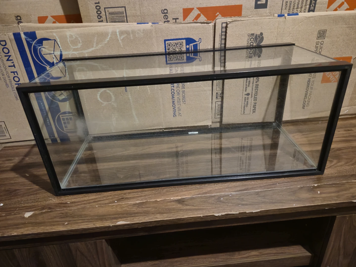 Glass Fish/Reptile Tank (20gal) - photo 3