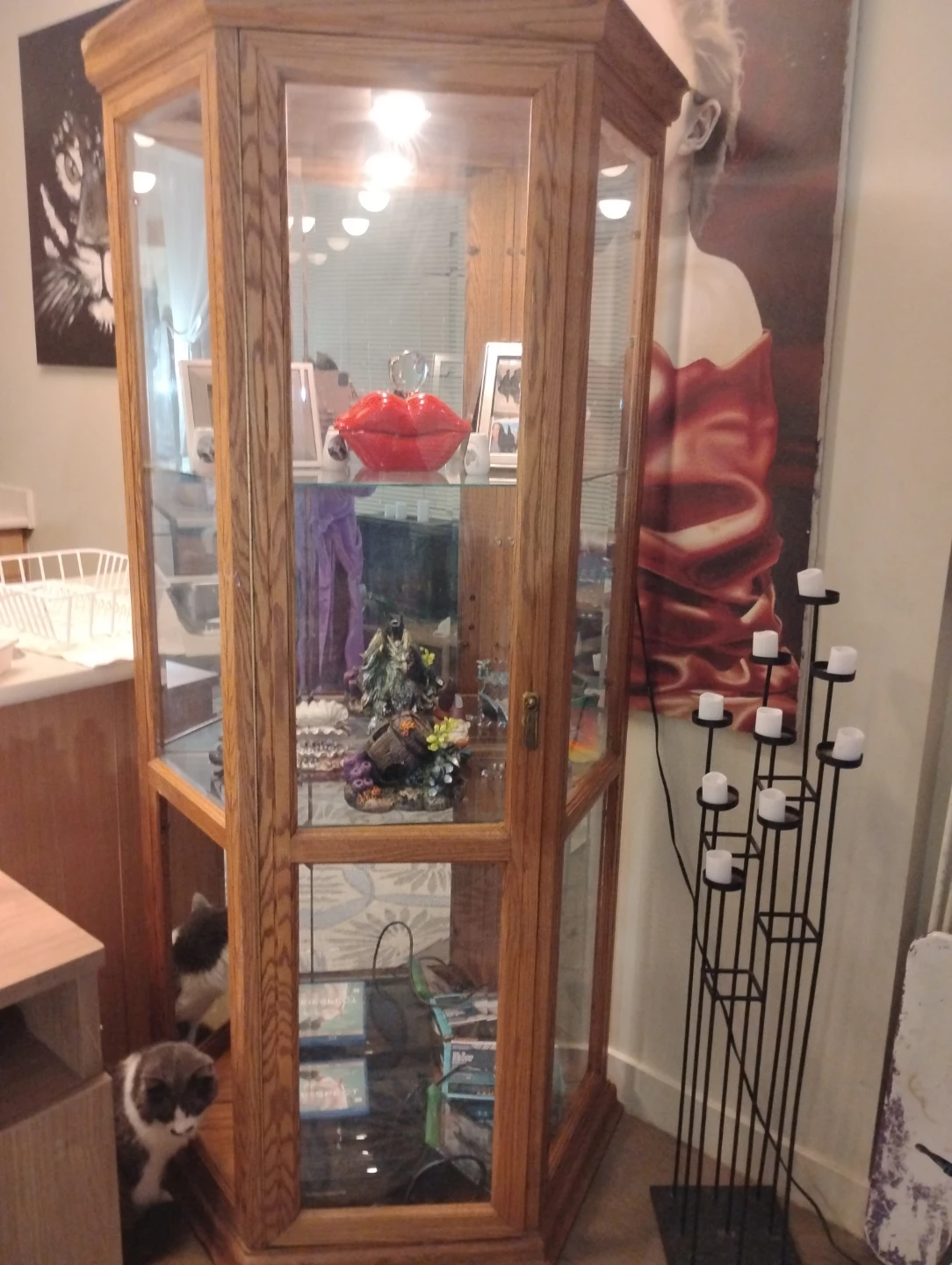 Wooden Display Cabinet