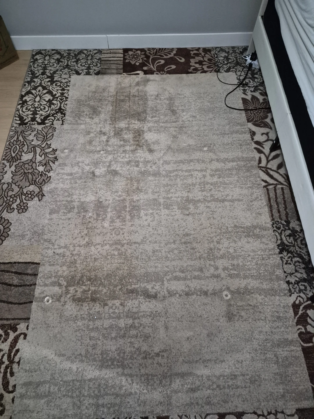 Area Rug - photo 3