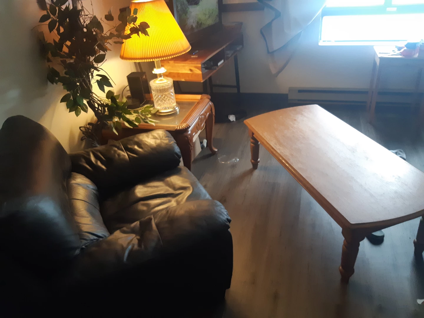 Leather chair end table coffee table lamp fake tree