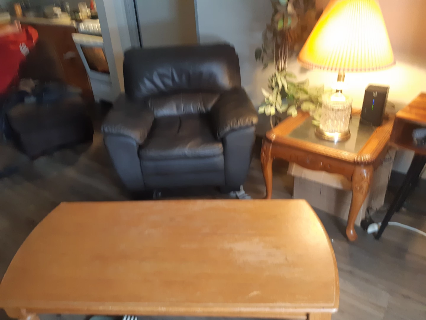Leather chair end table coffee table lamp fake tree - photo 3
