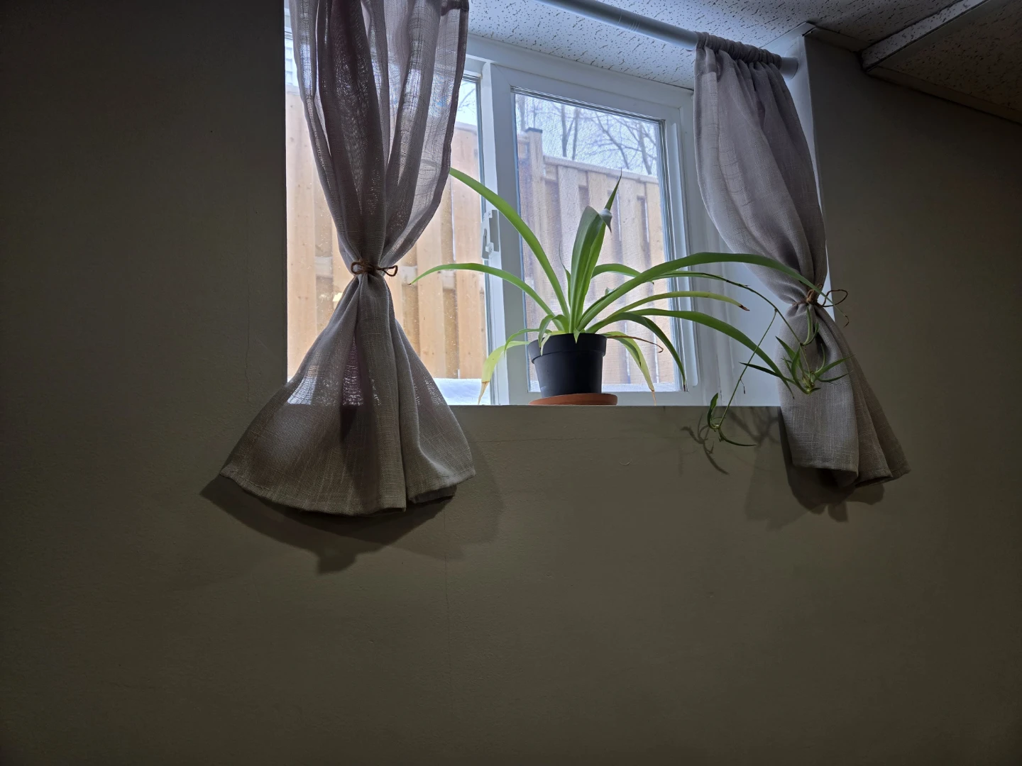 Basement apartment room Separate entrance Private bathroom - photo 4