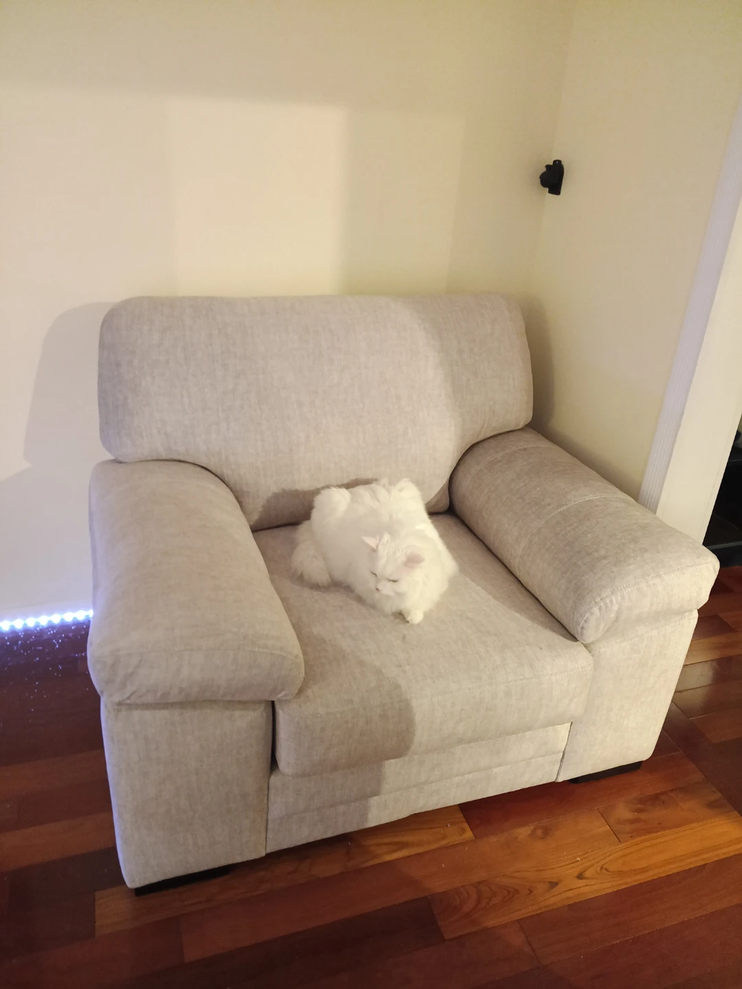 Light Grey Armchair - photo 2