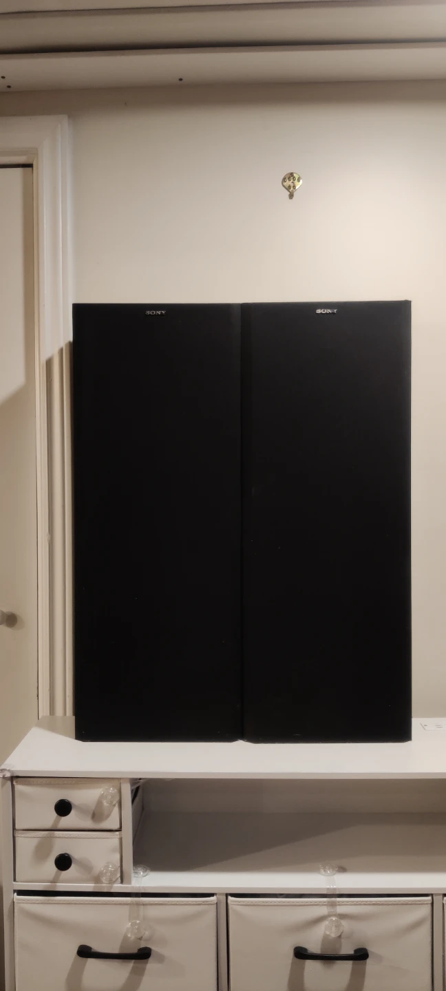Sony Black Speakers (Pair)