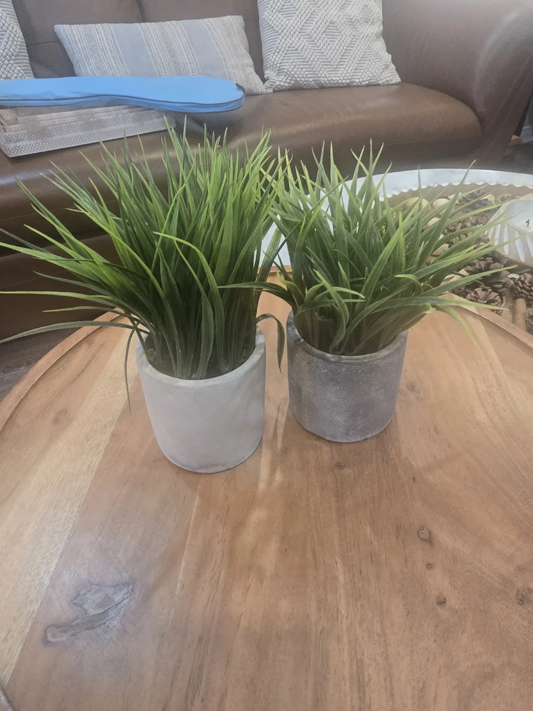 Artificial Grass Potted Plants