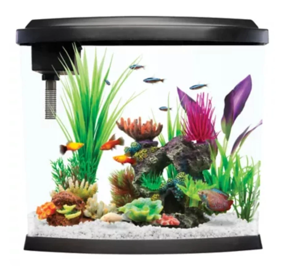 Aquarium+++EXTRAS