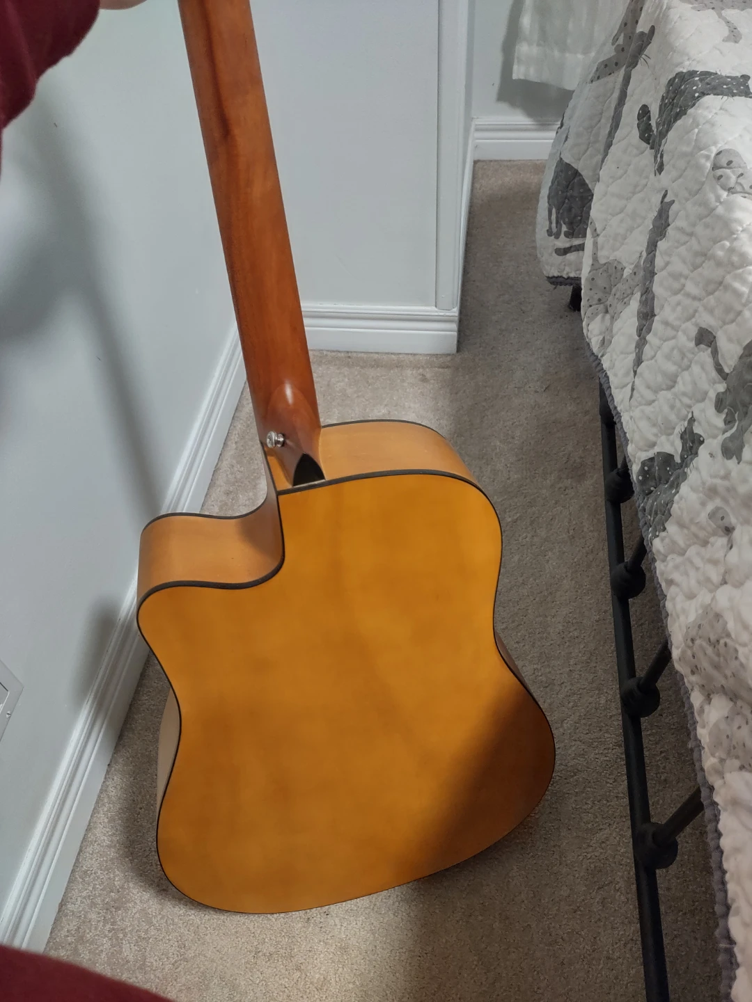 Donner Acoustic Guitar with Gig Bag - photo 2