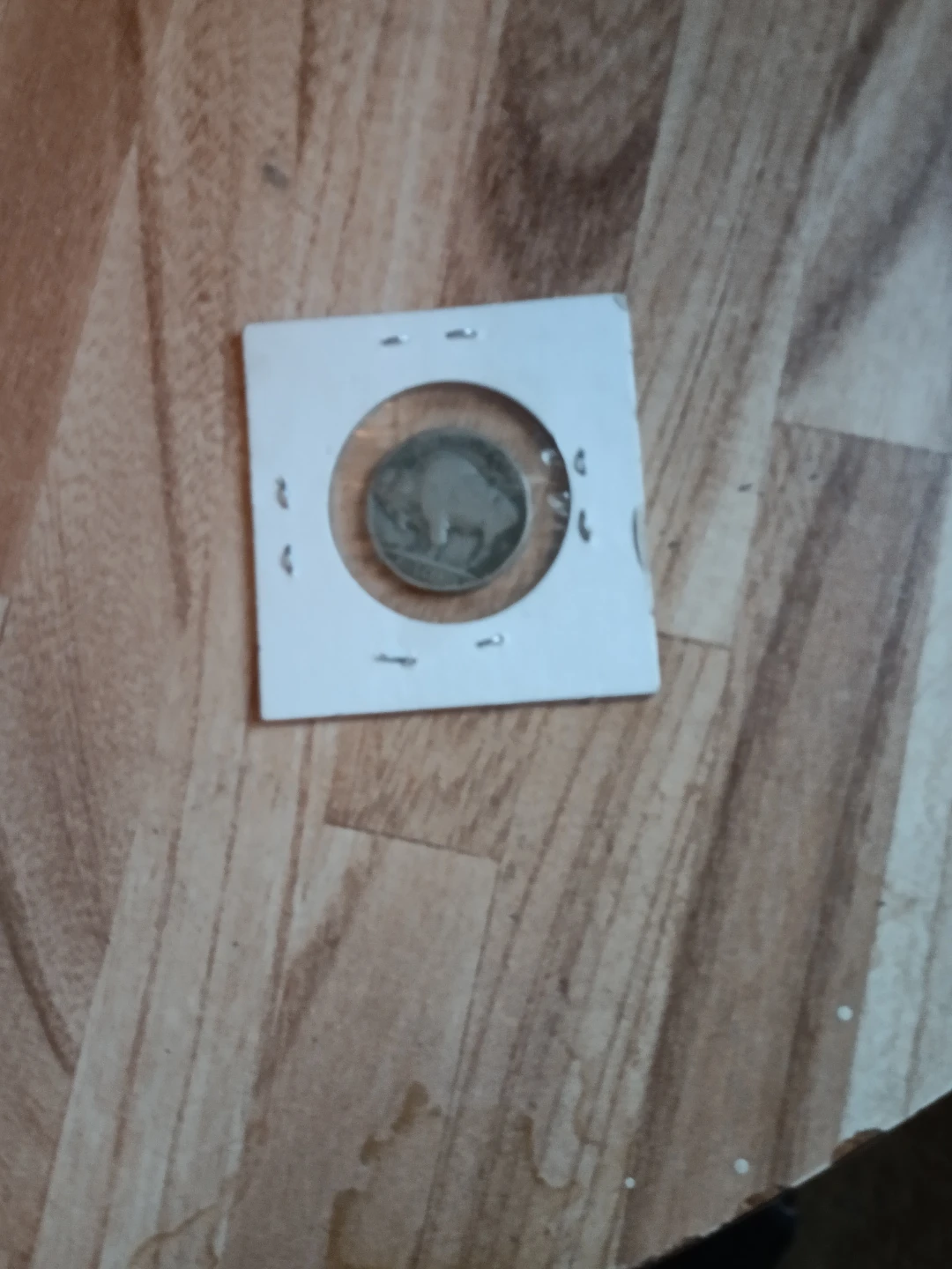 Buffalo Nickel - photo 2