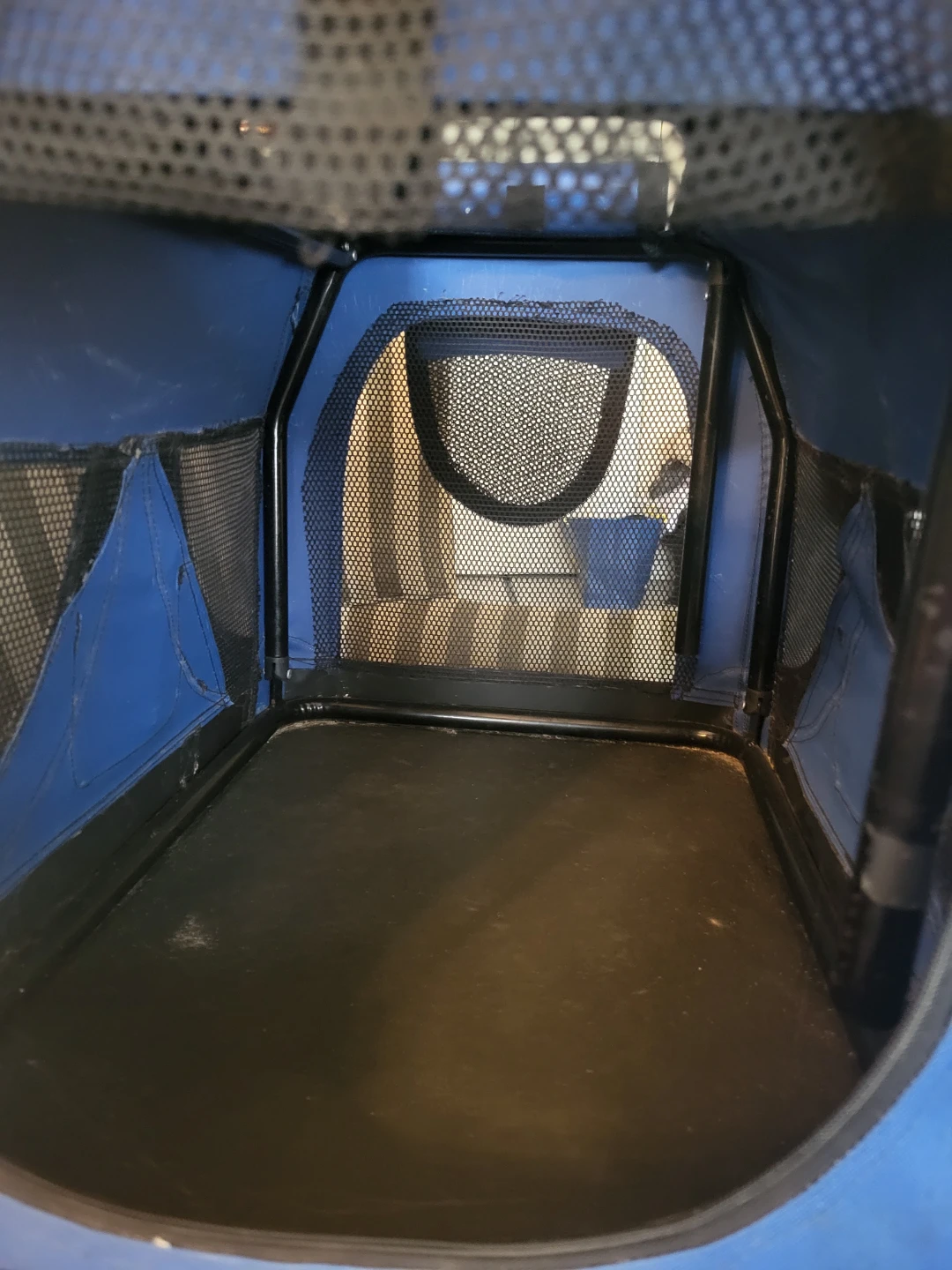 Blue Pet Carrier - large - photo 5